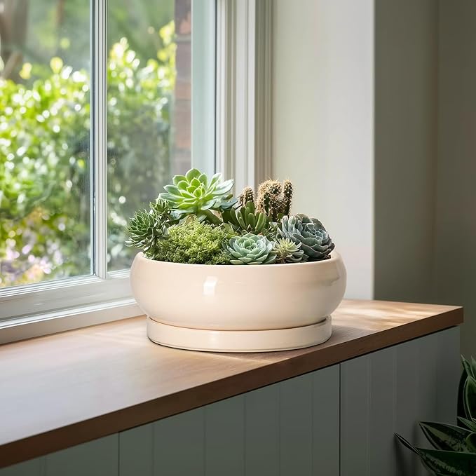 Large Succulent Planters - 13 Inch Ceramic Bonsai Pots Indoor Outdoor, Shallow Planter with Drainage Hole and Tray, Round Planter Bowl, Large Bonsai Pot, Home Decor, Housewarming Gift, Beige