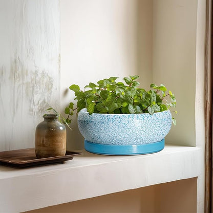 Succulent Pots 8 Inch - Ceramic Bonsai Pots with Drainage Hole and Saucer, Succulent Planters for Indoor Plants Outdoor, Round Shallow Planter Bowl, Porch Decor, Gardening Gifts, Blue