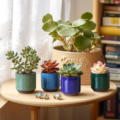 T4U 2.5 Inch Small Ceramic Succulent Planter Pot with Drainage Hole Set of 12, Ice Crack Glaze Plant Container for Cactus, Plant Lover Gifts for Women Mom Coworker Home Office Decor