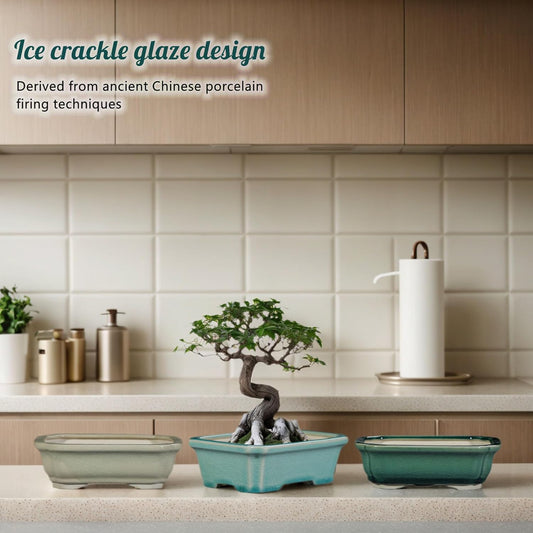 FFPOPU 3-Packs Ceramic Bonsai Pots with Drainage Tray, 6-inch Cute Bonsai Tree Pot with Ice Cracked Glaze, Small Bonsai Planter Pot for Desktop Decoration