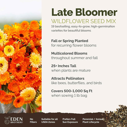 Eden Brothers Late Bloomer Wildflower Mixed Seeds for Planting, 1 lb, 480,000+ Seeds with White Yarrow, Snapdragon | Attracts Pollinators, Plant in Spring or Fall, Zones 3, 4, 5, 6, 7, 8, 9, 10