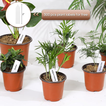 300 Pack 4 Inch Plastic Nursery Pots for Plants, Small Seedling Pots Succulent Pots Flower Pots with Drainage Holes, Come with 300pcs Plant Labels