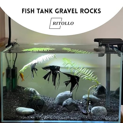 2.5lb Black Pebble Rocks 3/5-8/5 Inch Polished River Stones for Indoor Plants, Garden Landscaping, Vase Fillers & Aquarium Decor - Natural Decorative Rocks for Succulents, Bonsai, Terrariums