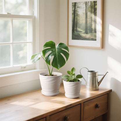 6.7 + 5.5 Inch Plant Pot, Ceramic Planter with Drainage and Saucer，Ceramic Pots for Plants, Indoor Plant pots，Succulent Orchid Flower Pot(Pure White)