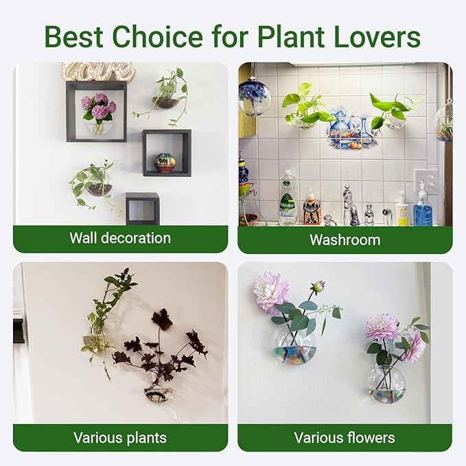 Propagation Station, Plants Terrarium, Plants Lover Gifts for Women,Plant Cutting Holder Home décor,Gifts for Women,House Warming New Home-4 Moon Shape