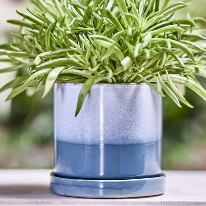 CHIVE ‘Minute’ Ceramic Planter Pot — Cute 5” Colorful Succulent Pots for Indoor & Outdoor House Plants — Beautiful Modern Farmhouse Kitchen Decor — Blue Aqua