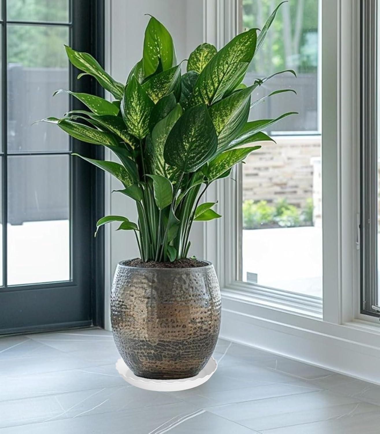 6 Pack Plant Saucer 10 inch, Heavy Duty Plastic Plant Saucers, Durable Plant Tray for Pots, Flower Saucers for Indoors, Plant Pot Saucers, Trays for Planter (White)