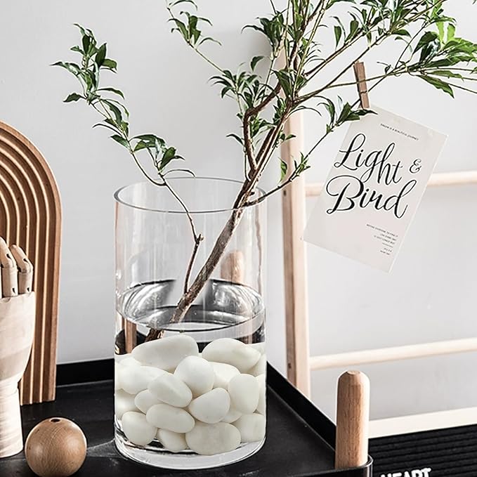 10 lbs White River Rocks for Plants, 2-3 Inch Decorative White Stones Pebbles for Indoor Plants, Vase, Terrarium, Landscaping, Garden and Yard