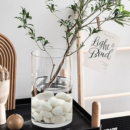 10 lbs White River Rocks for Plants, 2-3 Inch Decorative White Stones Pebbles for Indoor Plants, Vase, Terrarium, Landscaping, Garden and Yard