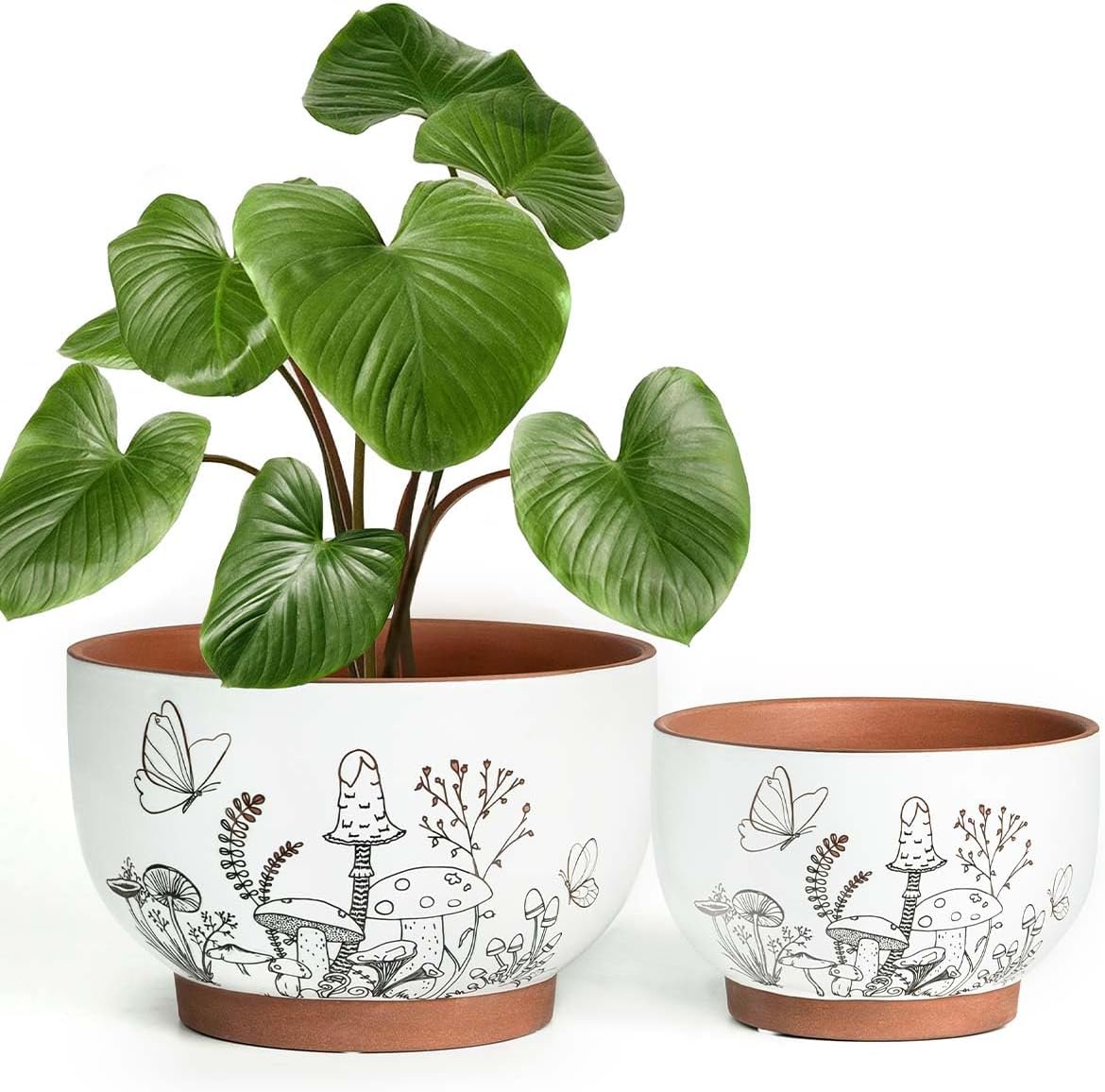 YBX 8 Inch & 6 Inch Terracotta Pots, Plant Pots, Flower Pots for Indoor Plants with Drainage, Planters with Mushroom Accent for Indoor Plants (Cottage)