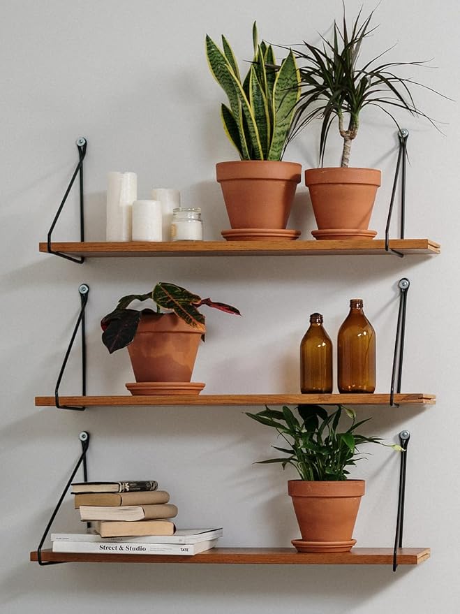 INGOFIN Terracotta Pots Set with Saucer - 5/6/7 inch Ceramic Clay Planters with Drainage Hole, Garden Flower Succulent Pots with Tray for Indoor Outdoor Plants, Set of 3