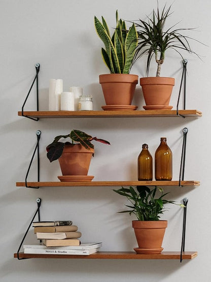 INGOFIN Terracotta Pots Set with Saucer - 5/6/7 inch Ceramic Clay Planters with Drainage Hole, Garden Flower Succulent Pots with Tray for Indoor Outdoor Plants, Set of 3