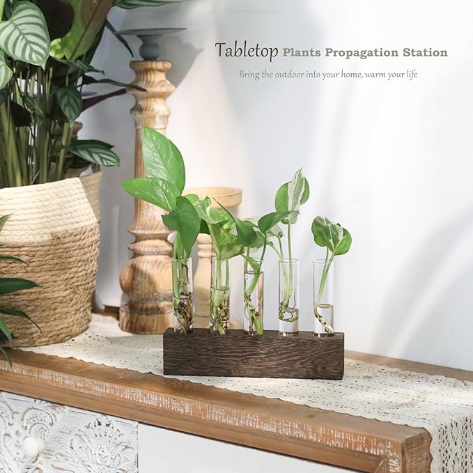 KAXYEW Desktop Glass Plant Propagation Station Test Tube Plant Terrarium in Wooden Stand for Hydroponic Plants Cutting Office Home Decoration Gift for Women (5 Test Tubes-BR)