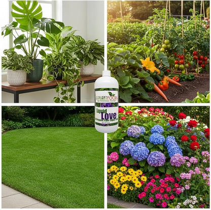 Liquid Love - All Purpose Liquid Fertilizer by GS Plant Foods (32 oz) - Natural Fertilizer for Vegetables, Herb Gardens, House Plants, Fruit Trees, Lawns & Shrubs
