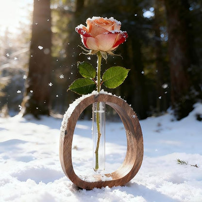 Plant Terrarium with Walnut Wooden Stand,Plant Propagation Station,Retro Propagation Vase,Hydroponics Planter for Cuttings,Greenery and Flowers,Minimalist Wooden Home and Office Décor Gift