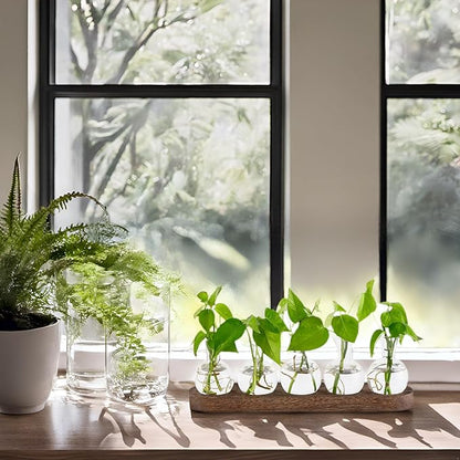 Mkono Desktop Plant Propagation Glass Station Retro Terrarium with Wooden Tray Bulb Vase for Hydroponic Home Indoor Decor Brown, Plant Lover Gift