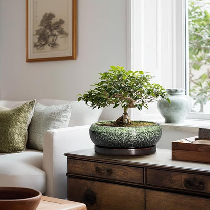 Bonsai Pots 10 Inch - Ceramic Pots for Plants Indoor Outdoor, Succulent Pot with Drainage Hole and Saucer, Large Bonsai Planter, Round Shallow Planter, Office Decor, Gardening Gift, Green