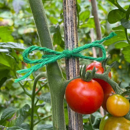 Tenn Well Jute Garden Twine, 328 Feet 3mm Heavy Duty Tomato Twine, Green Plant Ties for Gardening, Climbing Plants, Vegetables, Crafting