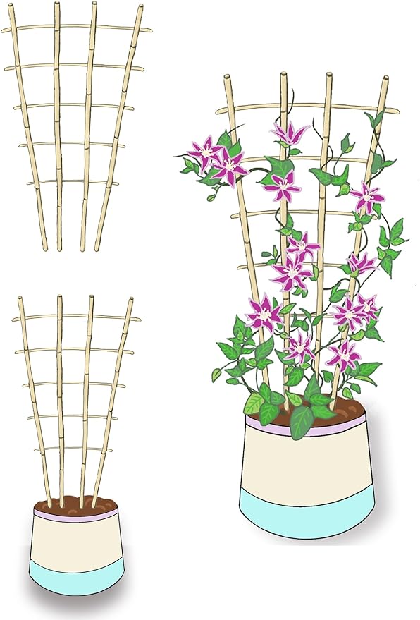 Natural Bamboo Trellis, 4Feet,6Pack,Fan-Shaped Plant Support Trellis for Outdoor and Indoor Potted Climbing Plants,Vegetables, Cucumber, Tomato, Hoya, Wisteria,Ivy,Orchid, Jasmine Monstera, Vine,