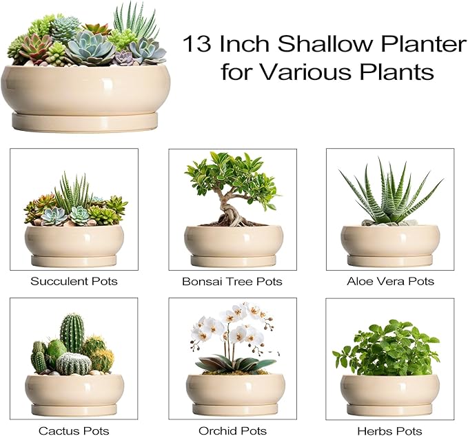 Large Succulent Planters - 13 Inch Ceramic Bonsai Pots Indoor Outdoor, Shallow Planter with Drainage Hole and Tray, Round Planter Bowl, Large Bonsai Pot, Home Decor, Housewarming Gift, Beige