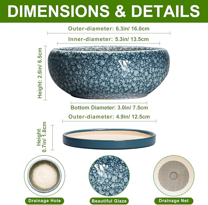 Succulent Pots 6 Inch - Ceramic Bonsai Pots with Drainage Hole and Saucer, Shallow Planters for Indoor Outdoor, Small Bonsai Pot, Round Planter Bowl, Porch Room Decor, Plant Lover Gift, Blue