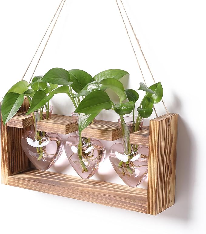 Plant Terrarium Propagation Stations Hydroponics Home Garden Decoration Gift for Women with Wooden Stand Heart Shaped Colored Glass Vase