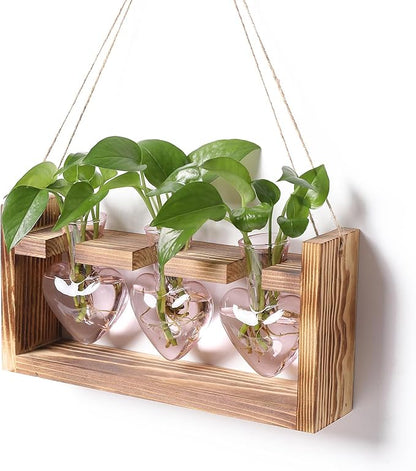 Plant Terrarium Propagation Stations Hydroponics Home Garden Decoration Gift for Women with Wooden Stand Heart Shaped Colored Glass Vase
