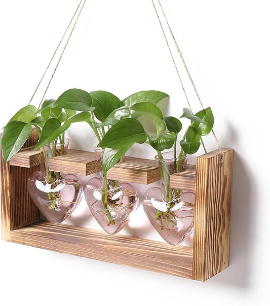 Plant Terrarium Propagation Stations Hydroponics Home Garden Decoration Gift for Women with Wooden Stand Heart Shaped Colored Glass Vase