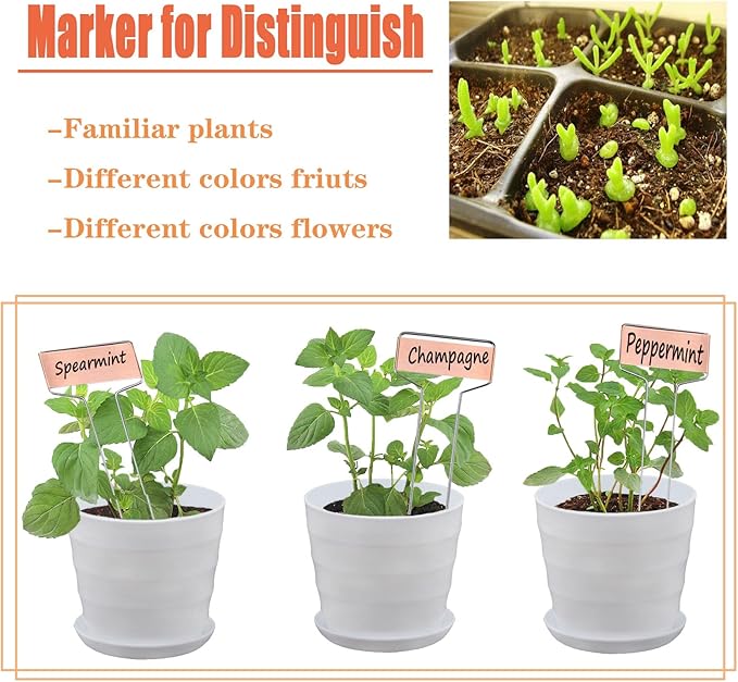 30pcs Plant Labels Copper Plant Markers for Outdoor Plants 6inch Plant Labels for Seedlings Outdoor Garden Waterproof Plant Tags and Labels for Flower Vegetable Herbs Greenhouse (6 in, Copper)