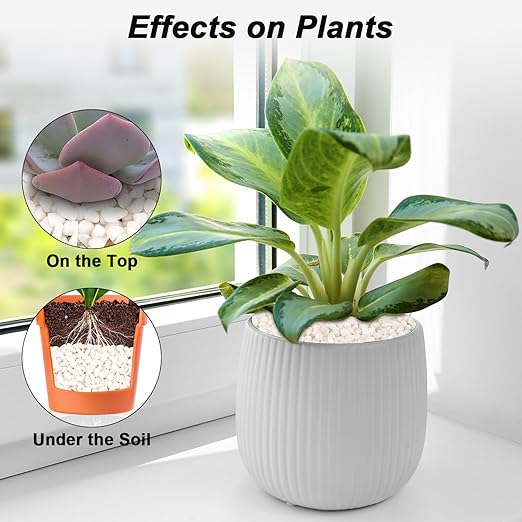 Landscaping Pebbles River Rocks Decorative Ornamental Pebbles Garden Landscaping Stones Gravel Filler for Home Decoration Flower Bed Fish Tank Plants Vases Succulents (1, White, 1 Pound)