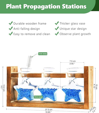 Nacome Star Glass Propagation Stations: Plant Terrarium with Wooden Stand Vase for Home Office Desk Decor, Unique Gifts for Plant Lovers Women Mom