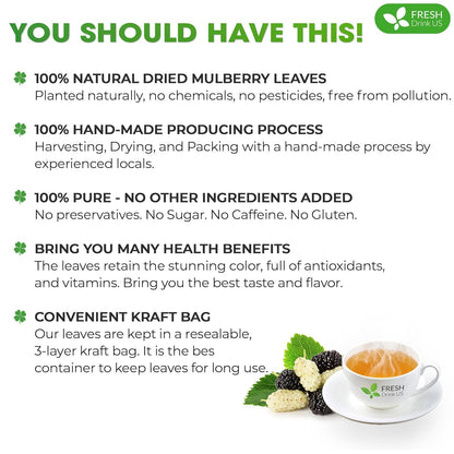 FreshDrinkUS, Permium 2oz Mulberry Leaves, 100% Natural & Pure from Mulberry Leaves, Mulberry Leaf Tea, Mulberry Loose Leaf Herbal Tea, No Additives, No Caffeine, Vegan
