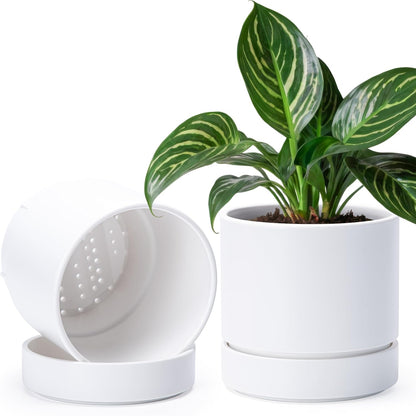 Phoenix Vine 6 Inch Planter Pot with Drainage Hole & Saucer, Deep Water Catch Tray, Straight Cylindrical Round Pot for Plants, Matte White, Pack of 2, 23-B-S-2