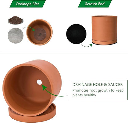 D'vine Dev Small 6 Inch Terracotta Plant Pot with Drainage Hole and Saucer, Round Cylinder Planter Pot for Indoor Plants, Set of 2, 40-X-B-3