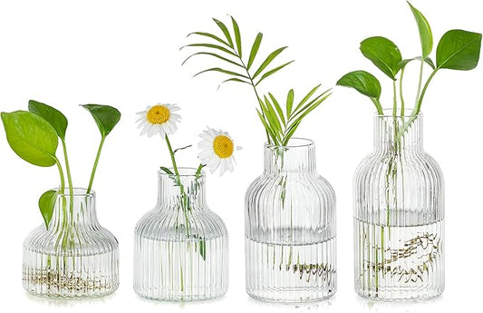 Hewory Glass Propagation vases for Plants: 4 PCS Ribbed Propagated Plant Holders for Hydroponic Cutting Flowers - Clear Propagation Stations Terrarium Jars for Home Office Decor Plant Lover Gifts