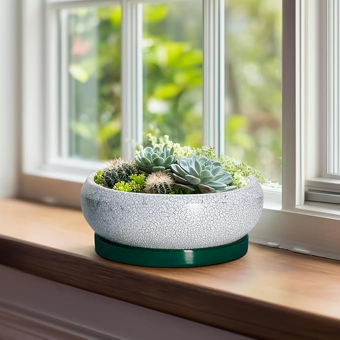 Bonsai Tree Pots - 8 Inch Ceramic Succulent Pot with Drainage Hole and Tray, Bonsai Pots, Shallow Planters for Indoor Outdoor, Round Planter Bowl, House Decor, Gifts for Plant Lovers, Green