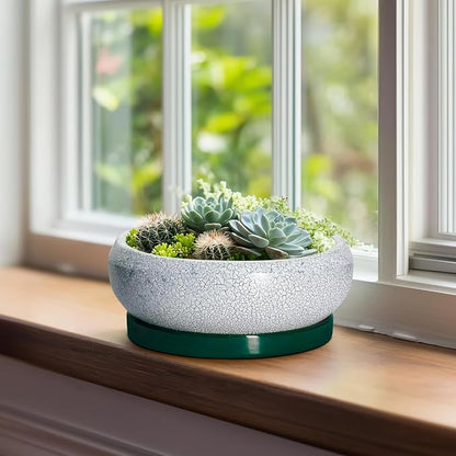Bonsai Tree Pots - 8 Inch Ceramic Succulent Pot with Drainage Hole and Tray, Bonsai Pots, Shallow Planters for Indoor Outdoor, Round Planter Bowl, House Decor, Gifts for Plant Lovers, Green