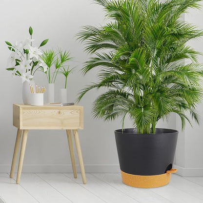 12 inch Large Self Watering Pots, Plant Pots with Mesh Drainage Holes for Indoor Outdoor Plants, Plastic Planters with Deep Reservoir for Garden House Flower Plants, Black with Brown