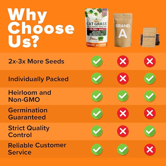 HOME GROWN 𝗨𝗦𝗔 𝗣𝗥𝗘𝗠𝗜𝗨𝗠 1 Pound Cat Grass Seeds for Cat & Kittens Oat & Barley Mix 100% 𝗡𝗢𝗡-𝗚𝗠𝗢 Heirloom, Grow Fresh Kitty Grass for Chewing, Pet Grass for Cats Indoor Garden