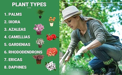 8-4-8 Professional Palm Tree Fertilizer Plant Food; for Indoor Potted Plants and Outdoor Landscape Palm Trees; Quick-Release Nitrogen Fertilizer and Continuous Feeding (1/2 Quart)