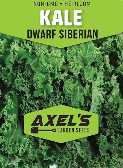 Kale Seeds for Planting - Plant & Grow Heirloom Kale Varieties Home Outdoor Garden – Easy Grow Planting Packet Instructions Included, Great Gardening Gift – 1 Packet of Each Variety