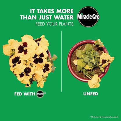 Miracle-Gro LiquaFeed All Purpose Plant Food Refills, Plant Fertilizer, 16 fl. oz., 4 Bottles/Pack (6-Pack)