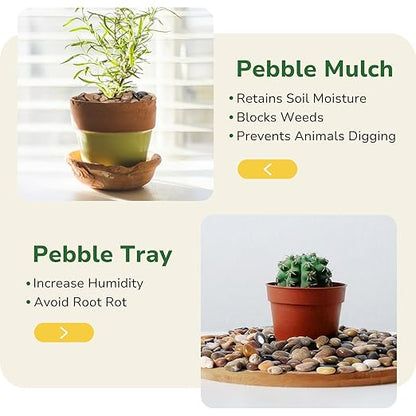 GreatBuddy 15-lb River Rocks, Decorative Rocks for Indoor Plants, 1-1 3/4 Inches Natural Polished Pebbles for Aquarium, Vases, Potted Plants, Garden Landscaping Outdoor, Mixed Color Stones