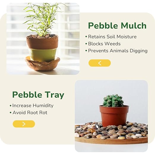 GreatBuddy 30-lb River Rocks, Decorative Rocks for Indoor Plants, 1-1 3/4 Inches Natural Polished Pebbles for Aquarium, Vases, Potted Plants, Garden Landscaping Outdoor, Mixed Color Stones