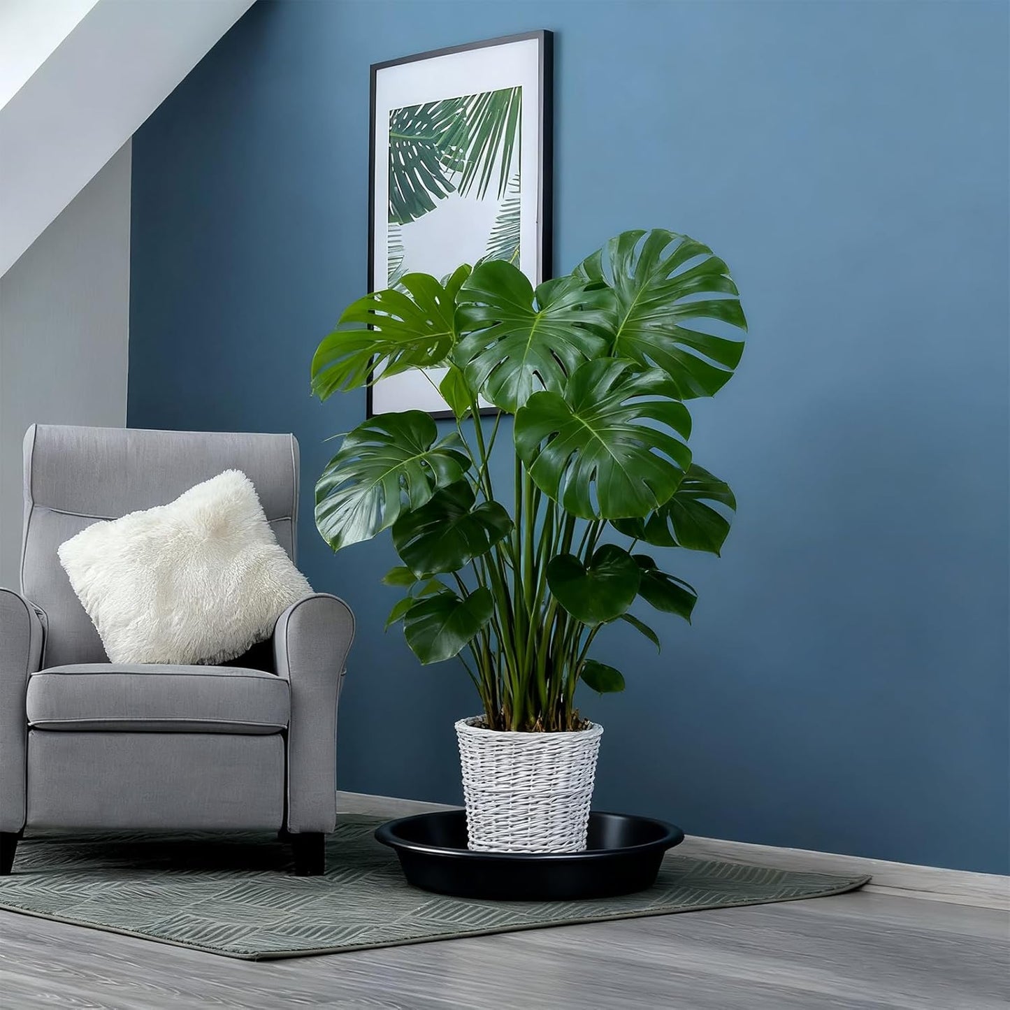 TITE Plant Saucer 14 inch,Heavy Large Planter Durable Thicker Plastic Plant Trays for Indoors and Outdoor,Plant Saucer Drip Trays,Black (14 inch, Black)