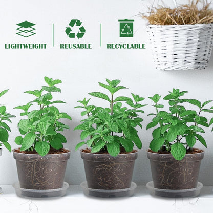 7 Pack 8 Inch Clear Nursery Pots with Saucer, Transparent Plastic Plant Pot with Drainage Holes, Sturdy Plant Starter Pots, Planter Pot for Planting Succulent Flower Herb Vegetable, Gardening Gifts