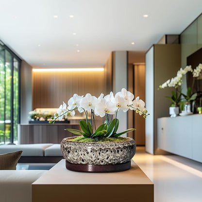 Bonsai Planter 13 Inch - Large Ceramic Succulent Planters, Shallow Plant Pot Indoor with Drainage Hole and Tray, Bonsai Pot, Round Bowl Planter Outdoor, House Decor, Housewarming Gift, White