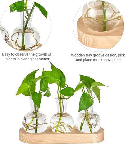 Mkono Desktop Plant Propagation Glass Vase Station Retro Plant Terrarium with Wooden Tray Bulb Flower Vase Container Perfect for Propagating Hydroponic Plants Home Office Decor Plant Lover Gift Idea