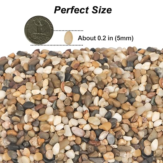 Landscaping Pebbles River Rocks Decorative Ornamental Pebbles Garden Landscaping Stones Gravel Filler for Home Decoration Flower Bed Fish Tank Plants Vases Succulents (1, Mixed Color, 5 Pounds)