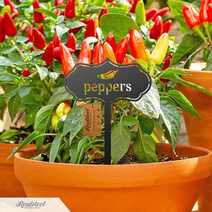 RealSteel - Seed & Plant Markers - Indoor/Outdoor Herb Garden Stakes - Elegant Fruit/Vegetable Seed Labels - Durable Plant Tags for Pots - Classy Design for Farmhouse/Greenhouse (Onions)